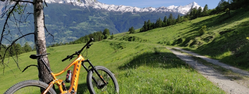 Offerta Bike InCentro Aosta